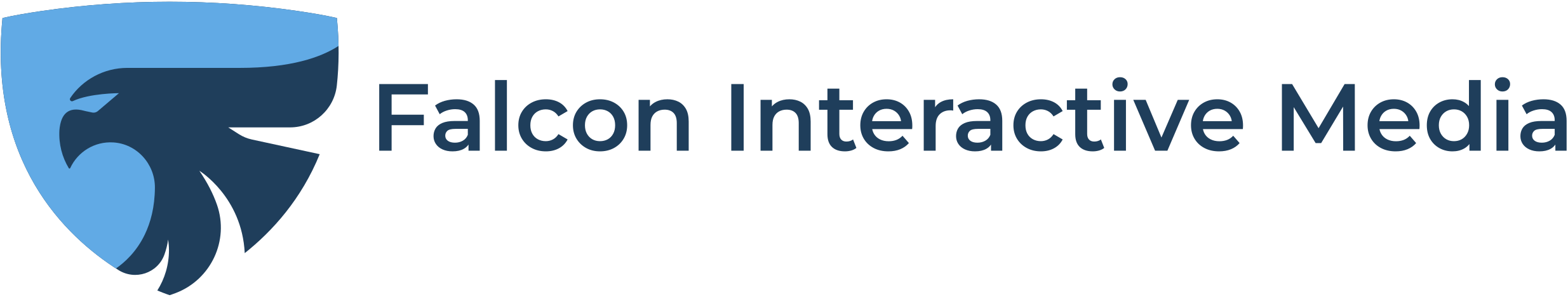 Falcon Interactive Media